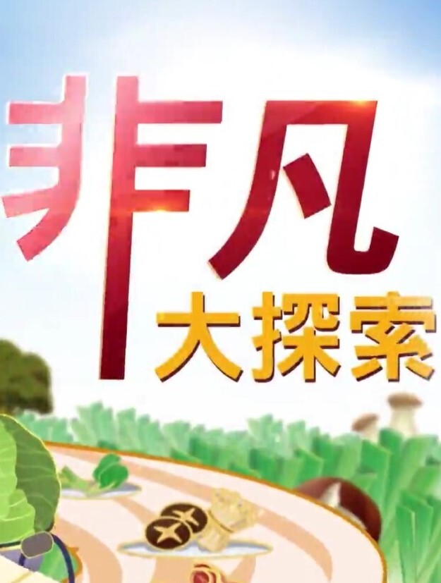 非凡大探索 2025