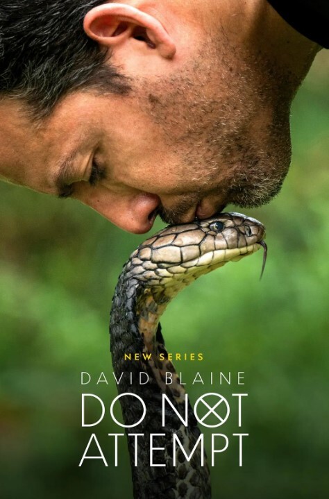 大卫·布雷恩：请勿尝试