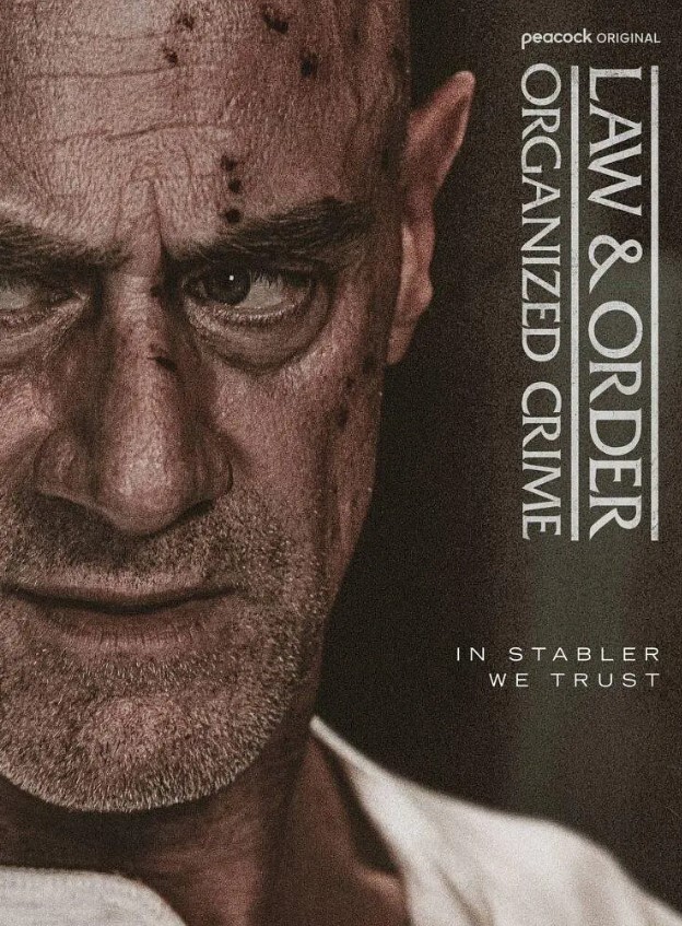 法律与秩序：组织犯罪 第五季