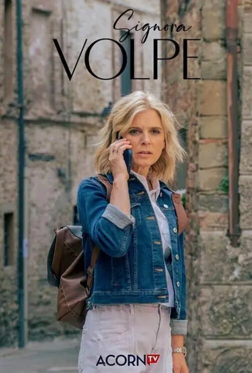 狐狸女士 第二季