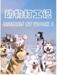 动物打工记 第二季