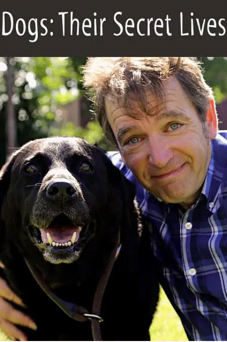 狗狗的秘密生活