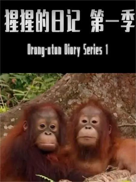 BBC.猩猩日记 第一季