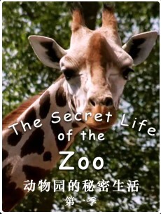 动物园的秘密生活 第一季