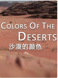 沙漠的颜色