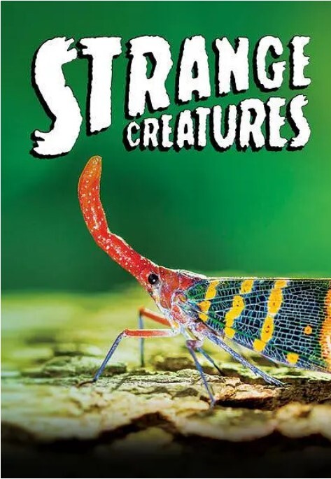 奇异生物 第一季