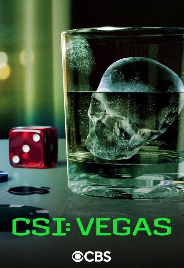 犯罪现场调查:维加斯 第三季