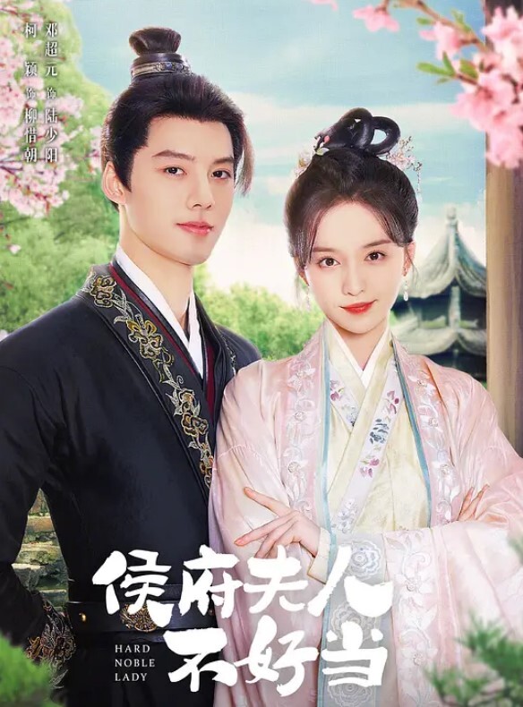 侯府夫人不好当