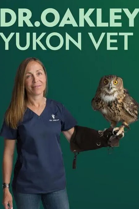 育空兽医 第一季