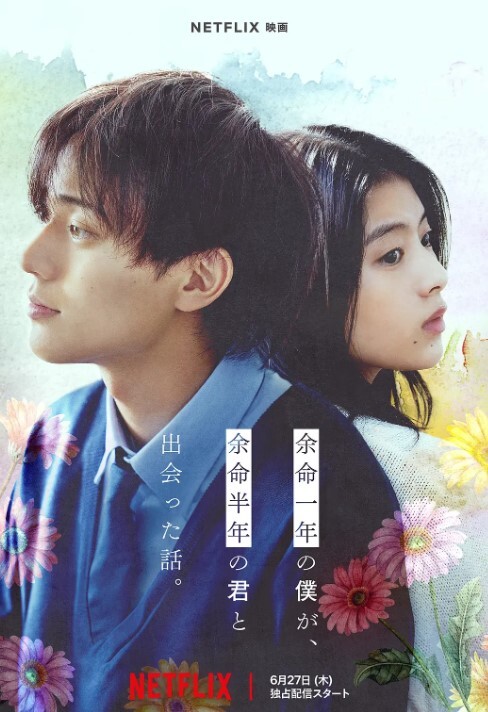 余生一年的我，遇见了的余生半年的你的故事