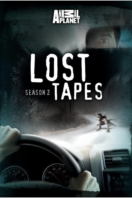 怪兽档案 第二季