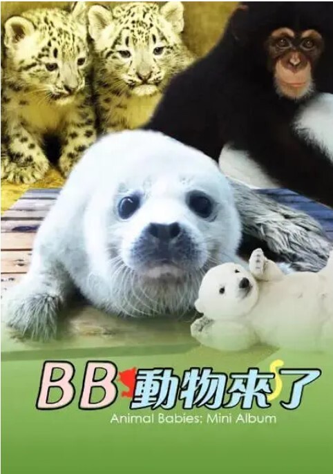 动物宝宝 迷你特辑