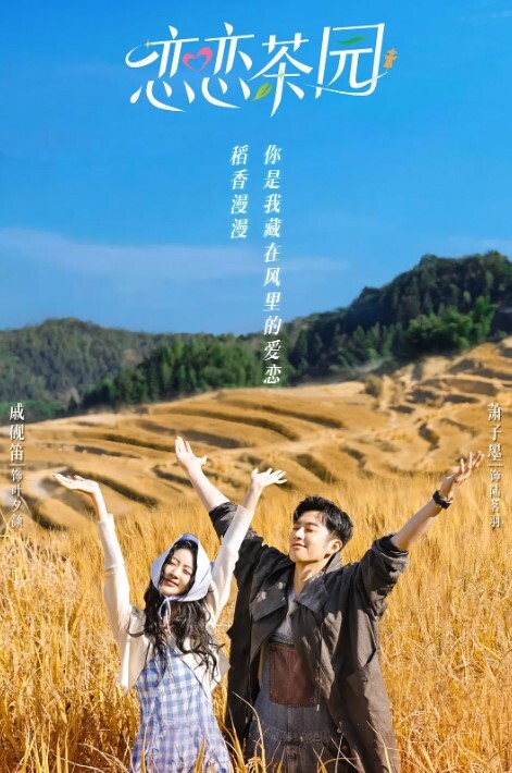 恋恋茶园