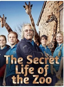 动物园的秘密生活 第二季