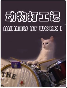 动物打工记 第一季