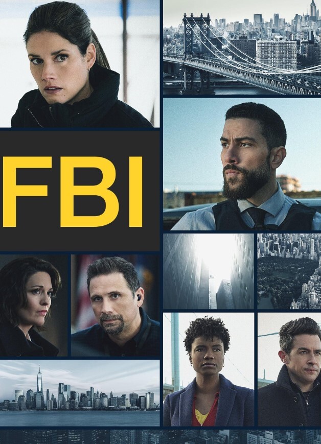 联邦调查局 第六季