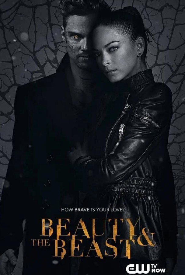 侠胆雄狮 第三季