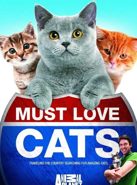 动物星球:为猫痴狂 第一季