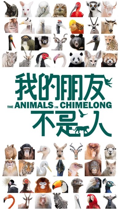 我的朋友不是人