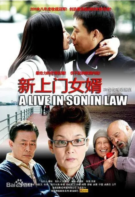 新上门女婿 2010