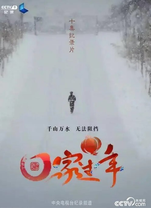 回家过年 第一季