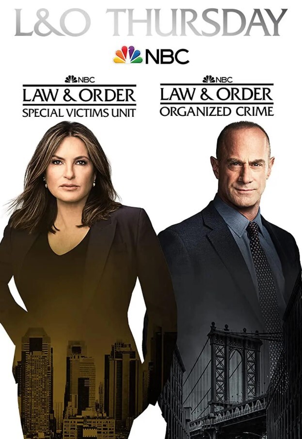 法律与秩序:特殊受害者 第二十三季