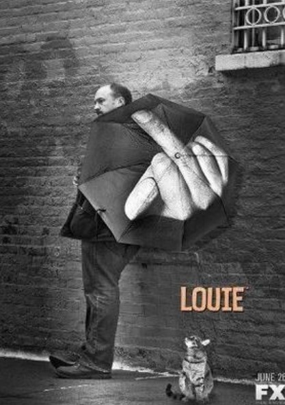 路易不容易 第五季