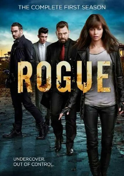 卧底情劫 第三季