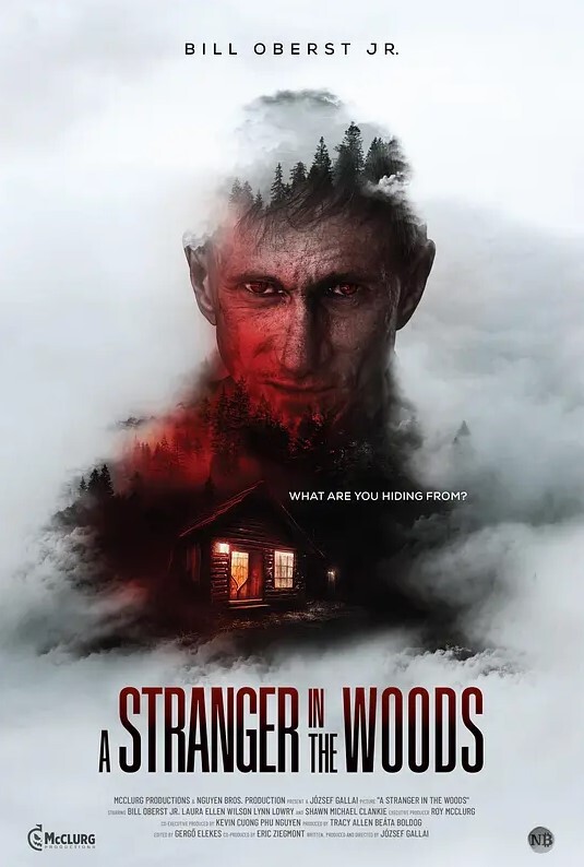 树林里的陌生人 2024