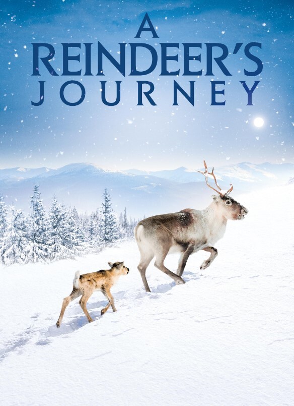 小鹿艾洛:极地的冒险史诗