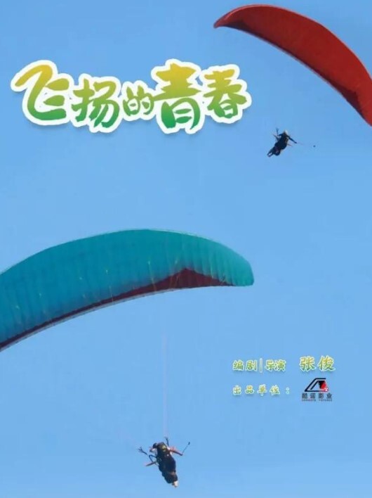 飞扬的青春