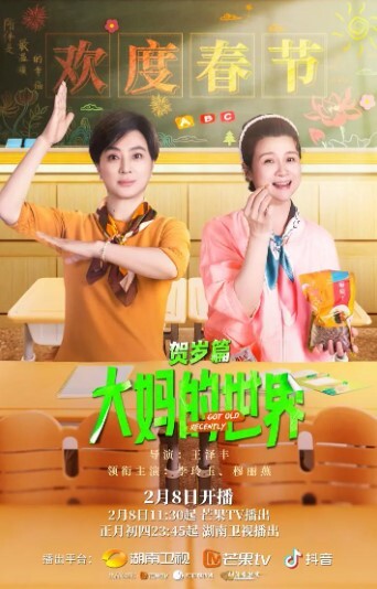 大妈的世界 贺岁篇