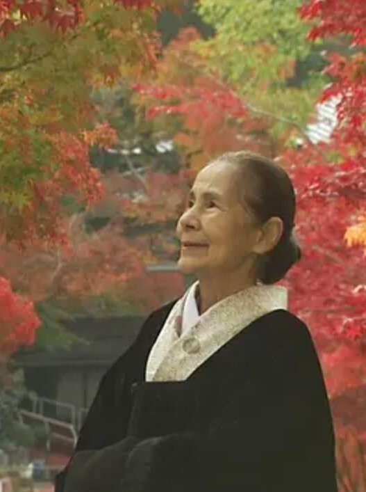 鹤子的茶道之旅