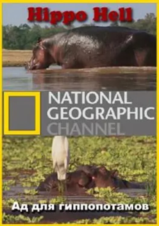 河马地狱