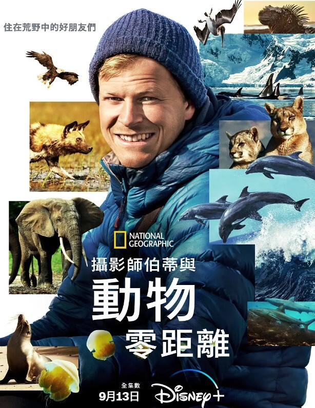 贝尔蒂·格雷戈里：与动物零距离