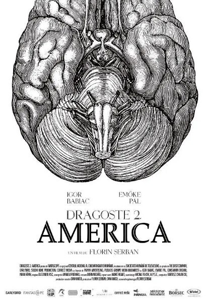 爱情第二部：美国