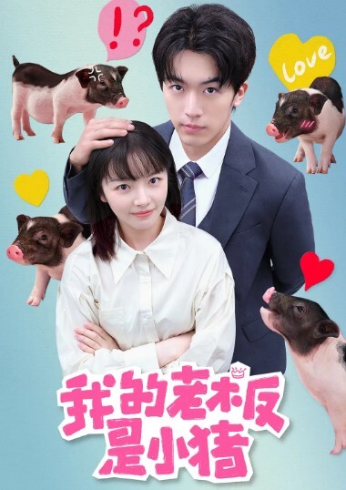 我的老板是小猪