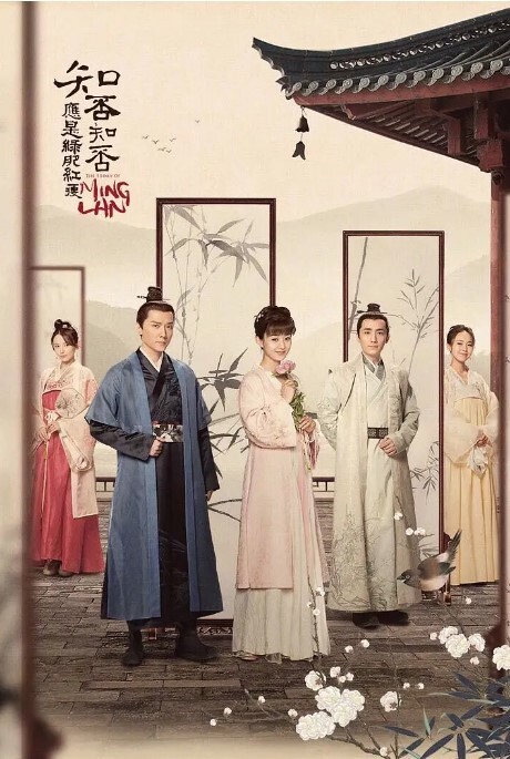 知否知否应是绿肥红瘦 2018