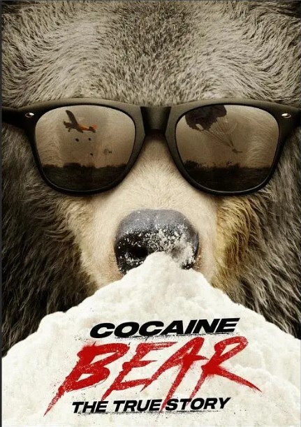 熊嗨了:真实的故事