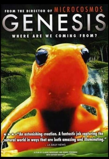 小宇宙2：基因狂想曲