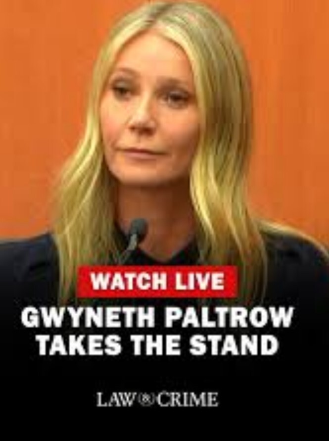 格温妮丝vs特里：滑雪事故审判