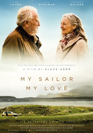 我的水手,我的爱