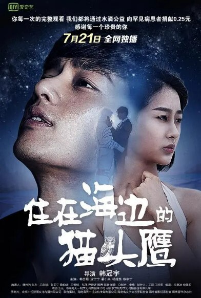 住在海边的猫头鹰